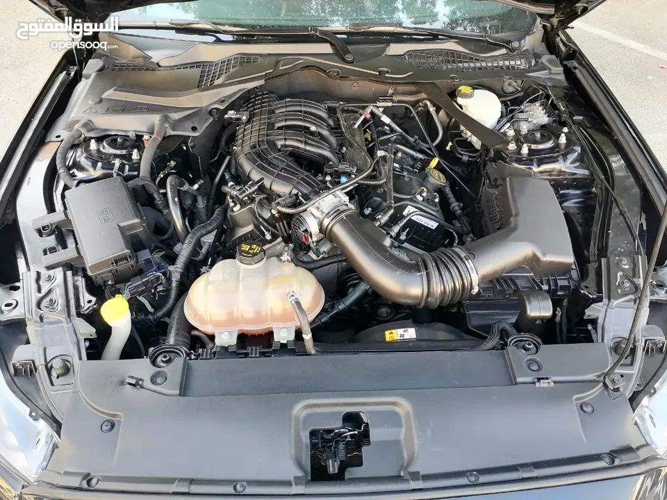فورد موستنج ستة سلندر 2017 كشف Ford Mustang V6 Convertible