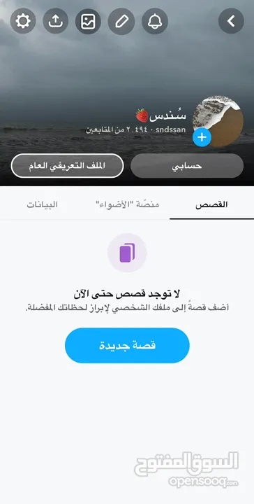 بسع حساب سناب