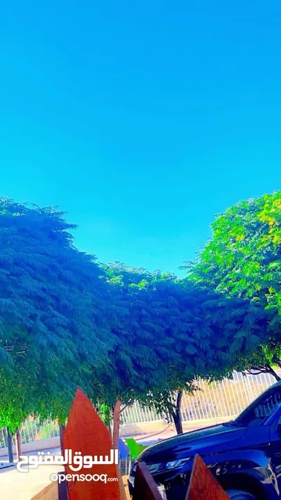 مزرعه شم النسيم في بيرين