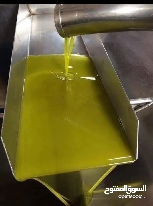 زيت زيتون (جبال عجلون)