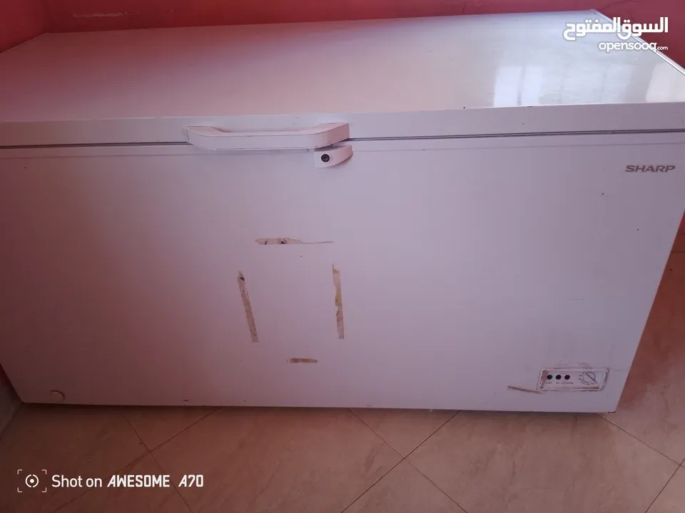 فريز مجمدة مسطحة 2019