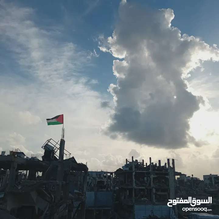 صور للبيع من غزة