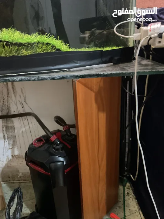 حوض سمك كبير + فلتر خارجي + طاوله من الزجاج