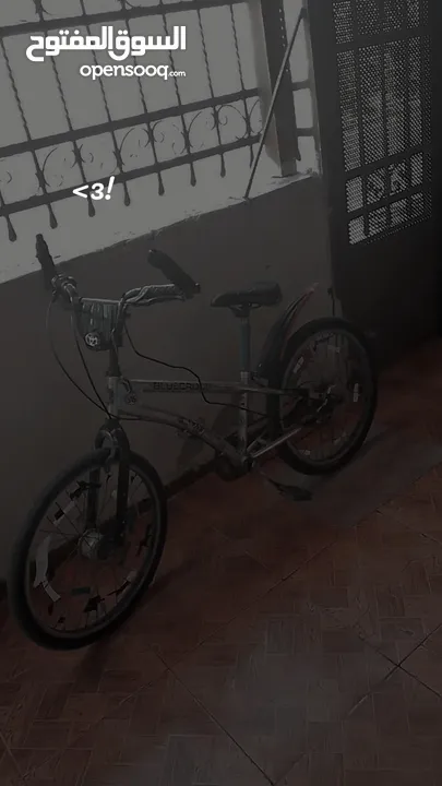 بسكليت امريكي