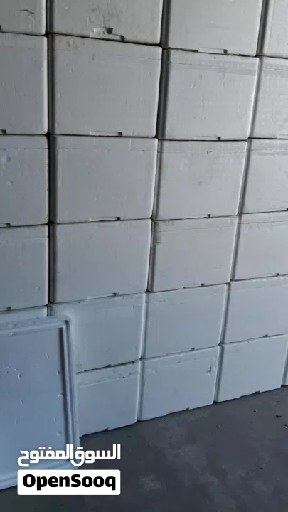 للبيع ثلاجات فلين - For sale Ice boxx