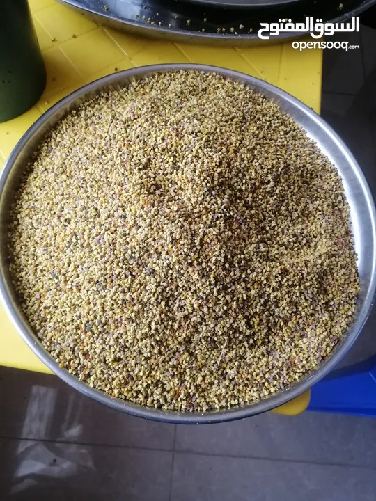 غذاء ملكات حبوب لقاح عسل طبيعي