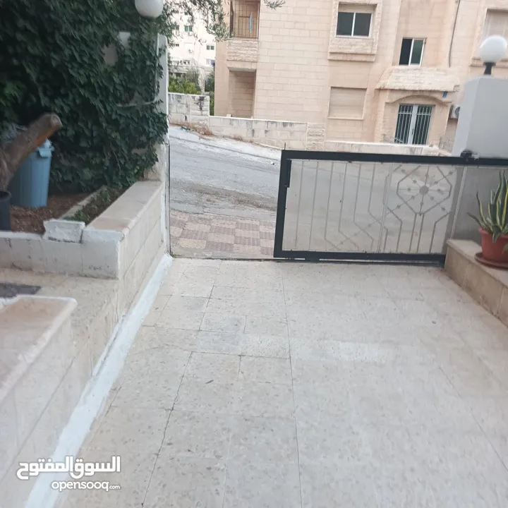 شقه فارغه للايجار شارع الجامعة الاجره شهريه 180