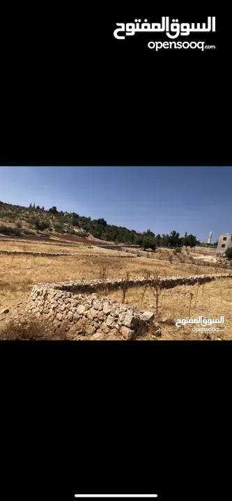 دنم ارض للبيع في السلط الصبيحي ميسره بالقرب من مطعم الطلع الغربيه