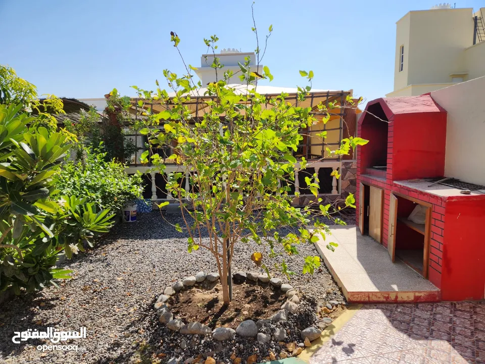 مزرعة للبيع بركاء العقدة قريبة من الشارع العام_Farm for sale in Barka Al-Uqdah, close to the main st