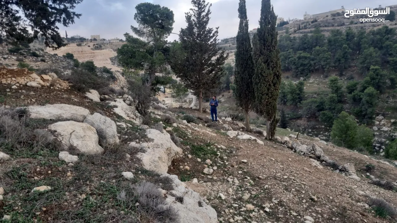 ارض للبيع في دورا ،الصره