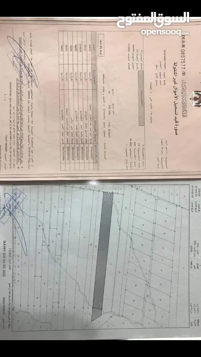 قطعة ارض 10دونمات و 112