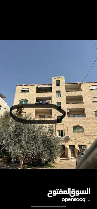 شقة للبيع بالزرقاء الجديدة شارع 16