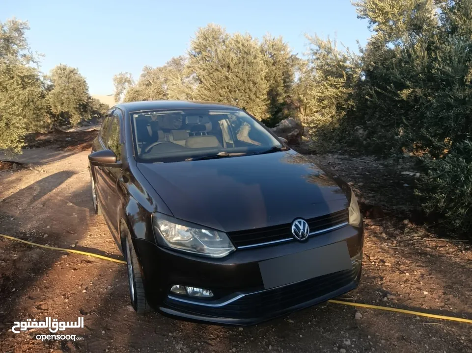 بولو جير عادي الحبة النادرة باللون و الجمال و الفحص