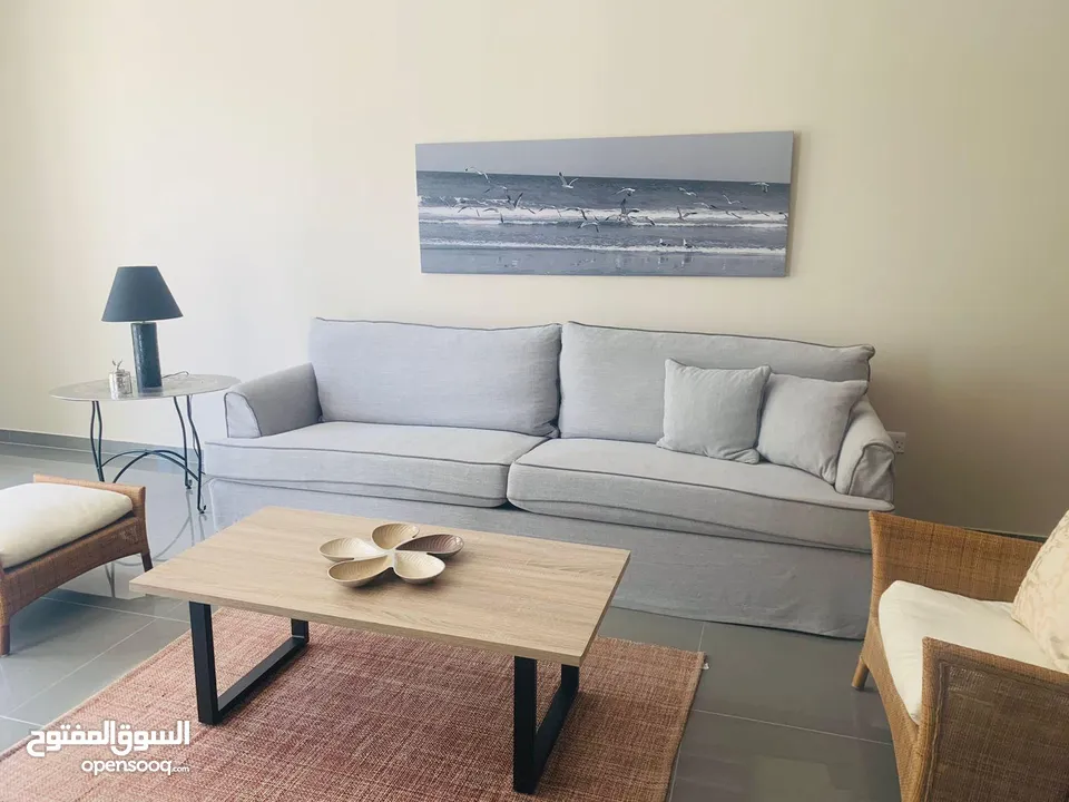 LUXURY FURNISHED FLAT IN MERIA SOUTH GOOD INVESTMENT