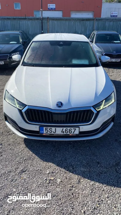 سكودا اكتافيا