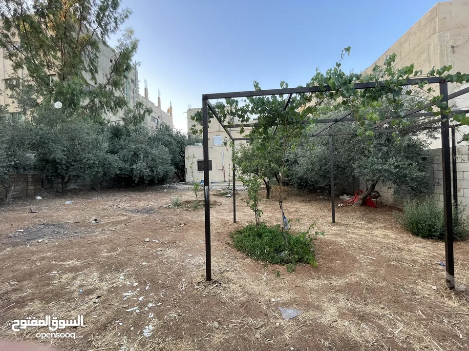 عمارة للبيع في سحاب/العبدلية