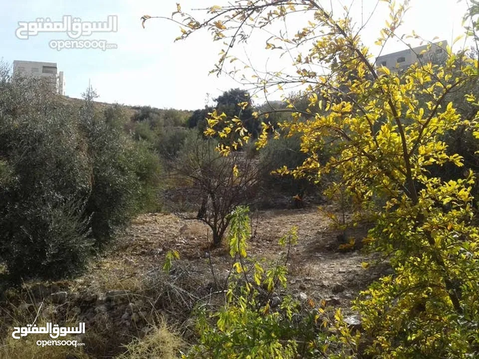 قطع اراضي مميزة مطلة غرب عمان