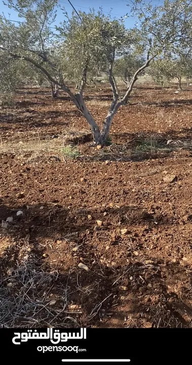 قطعة ارض للبيع ، بالقرب من سوبر ماركت الملاح على الشارع الرئيسي الذي يربط بيت قاد بدير غزالة