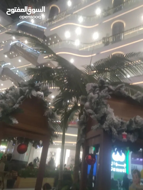 محل للايجار في. الطائره. علي الشارع الرئيسي مباشرة