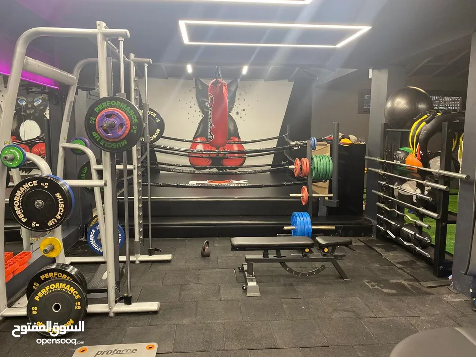 GYM equipments for sale in bulk