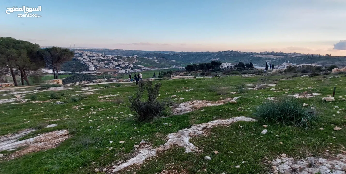 أرض مميزة للبيع في دورا – 1125م2 – موقع مرتفع وخدمات كاملة قريبة من الأرض