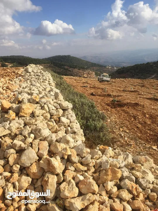 فرصة استثمارية! أرض زراعية مميزة بسعر مغري و بالقرب من أحراش الدولة للمزيد من المعلومات اقرأ الوصف