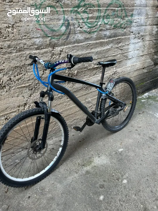 بسكليت نمره 24