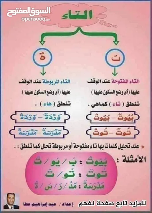 معلمة تأسيس القراءة والكتابة والرياضيات