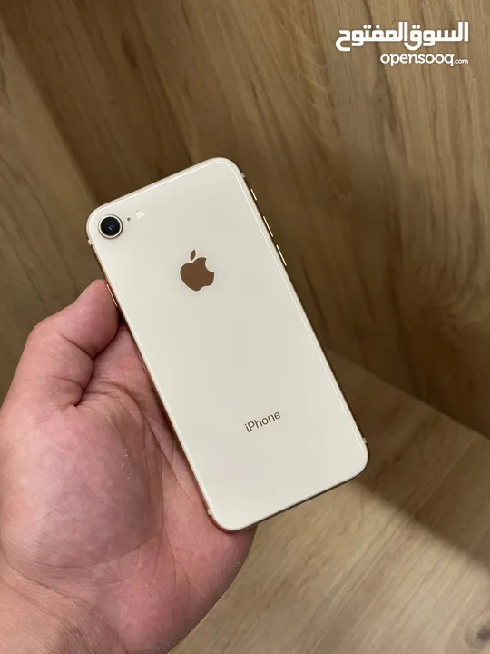 iPhone 8 256