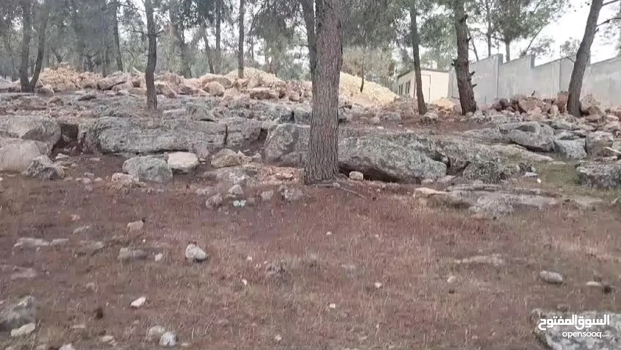 شارع اربد جرش عمان منطقة مرصع قرب عسل العنبتاوي بين جسر سلحوب و جسر تل الرمان شمال عمان