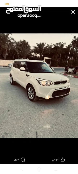 كايا سول مني جيب مرتفع وعزم جبار بسعر مناسب
