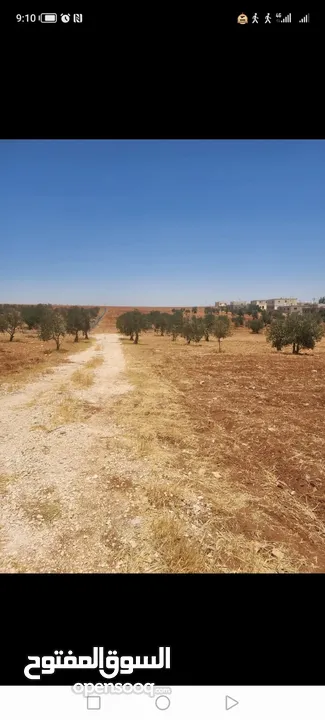 للبيع قطعه ارض رحاب البويضة  طريق اربد الزرقاء تبعد عن شارع الرئيسي كيلو  قطعه مميزه منطقة مزارع و ش