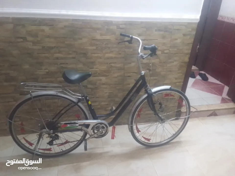 بسكاليت جيد سبق  27