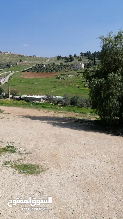 ارض زراعية 5384م قرية عين بني حسن وسط مزارع