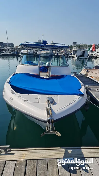 Gulf craft Dolphin 31