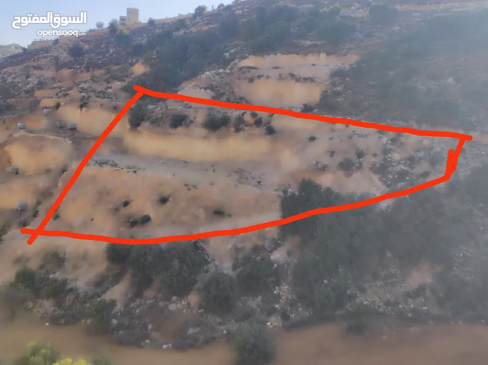 ارض للبيع 1000 متر طابو ابو نجيم