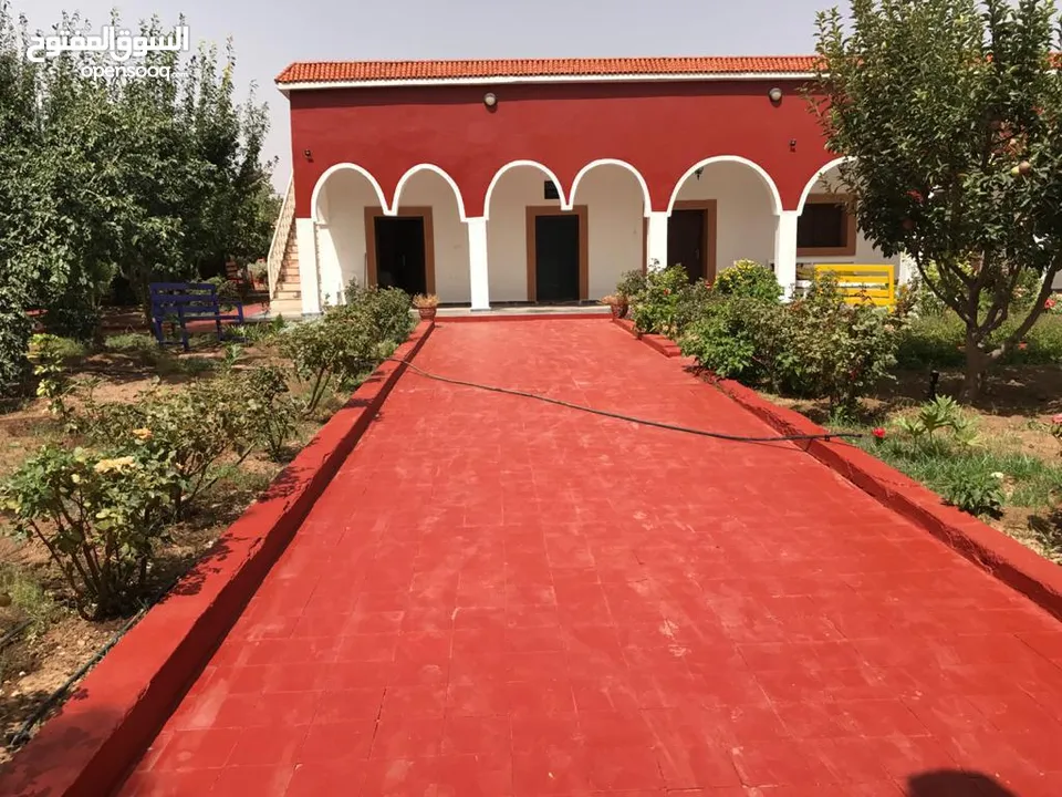 134-Hectare Farm for Sale in Morocco - مزرعة محفظة للبيع بمساحة 134 هكتار في منطقة ورزازات، المغرب