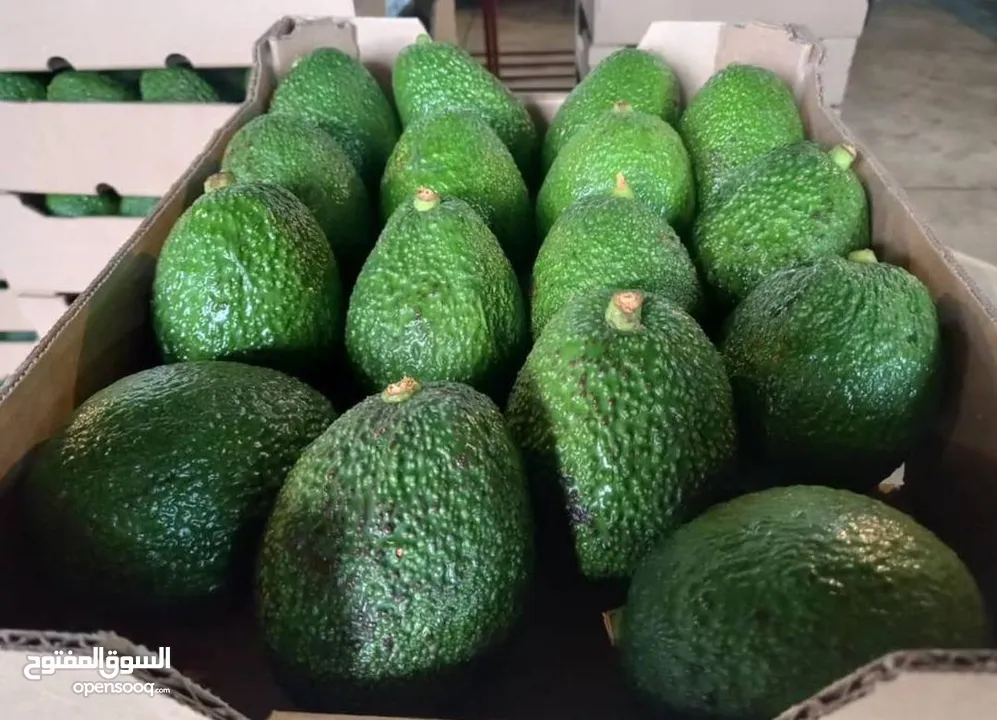 Hass Avocados