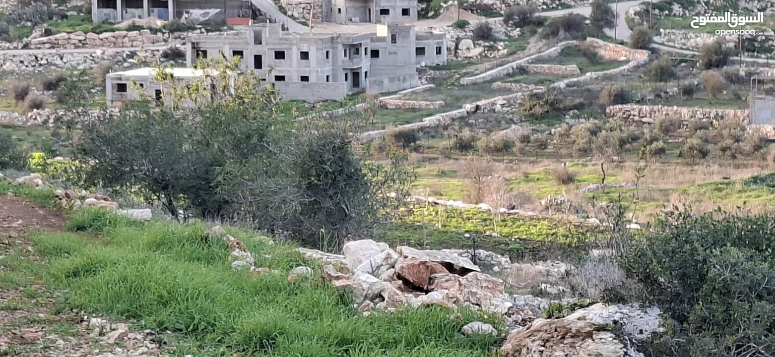 800متر طابوا فلسطيني في اجمل موقع بالكفريات واطلالة مميزةمنطقة( b)صالحة للبناء
