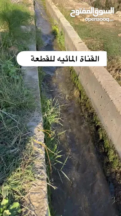 مزرعة مميزة في   البحاث و وادي الشتاء السياحي على اعلى قمة و مخدومة بالكامل ومروية من نبع البحاث