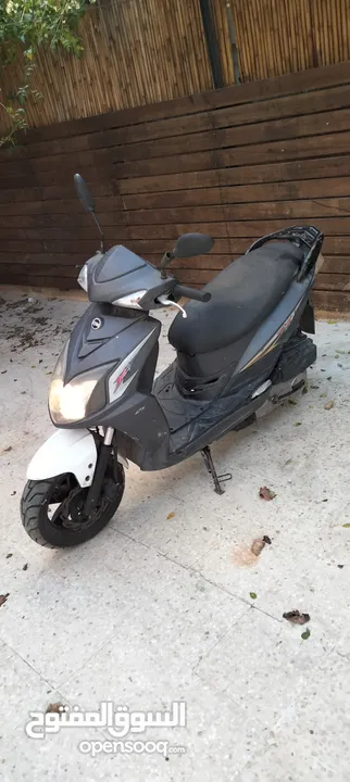 فسبا jet4 رام الله