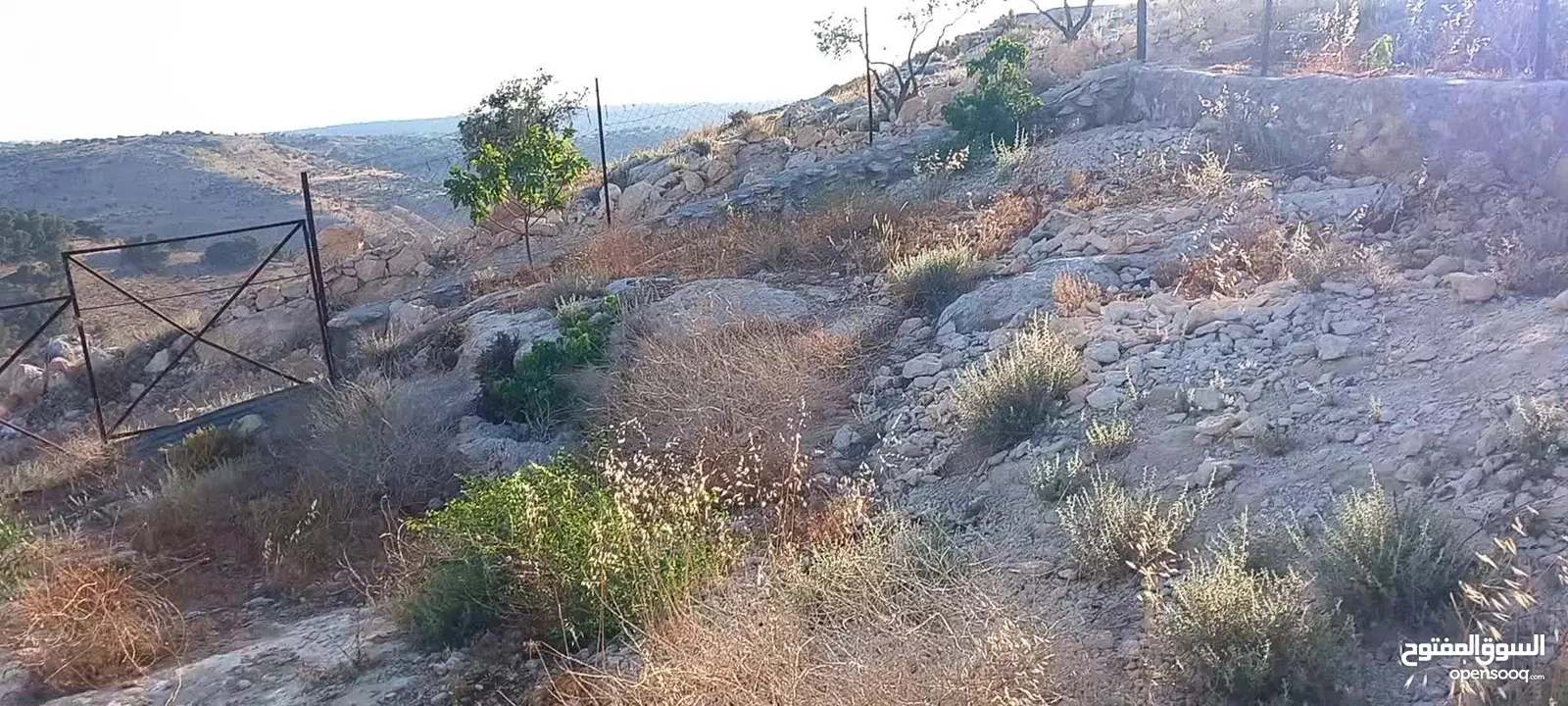 ارض للبيع اربد اسعره