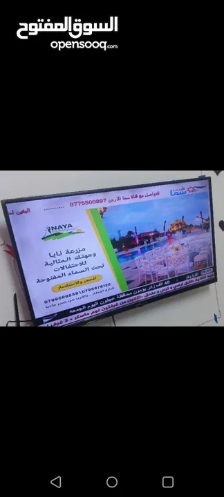 شاشه تايجر عادي مش سمارت 43 بوصه بدون ريموت بسعر من الاخر 60 دينار لا يوجد خدمه توصيل