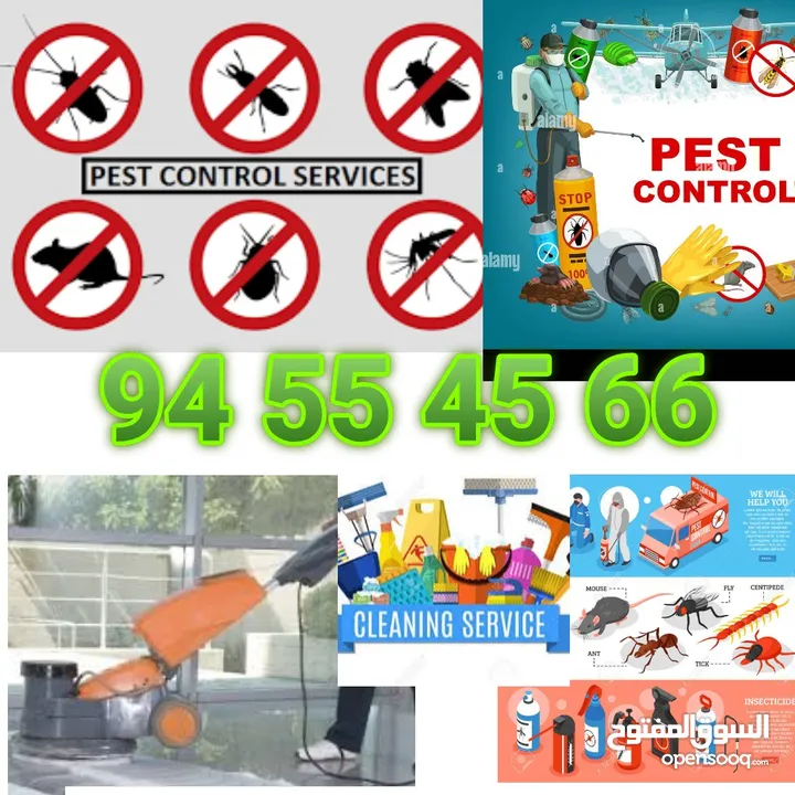 Pest control service & Cleaning with gaurantee  خدمة مكافحة الحشرات والتنظيف الضمان