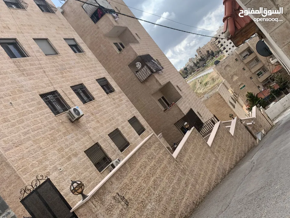 شقة جديدة مع حديقة بسعر مغري لم تسكن