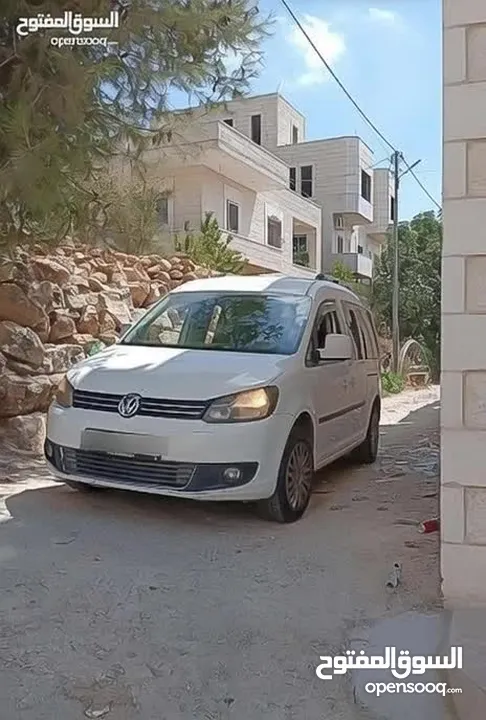 كادي شصي طويل 2015