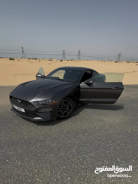 mustang 2019 perfect low milage