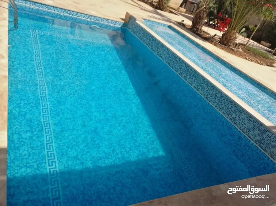 مزرعة للبيع الغور