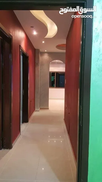 للإيجار – شقة مميزة في ضاحية الاستقلال (طابق أول + مصعد) فرصة ذهبية للسكن في أرقى مناطق ضاحية الاستق