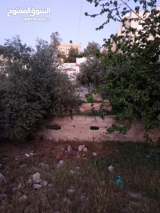 أرض للبيع بمساحه 678:340 متر عليه بيت قديم 100م يوجد فيها أشجار الزيتون وتوت وتين ولمون وعنب على شار